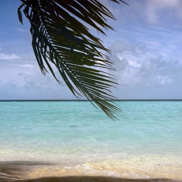 Tropical beach with turquoise water